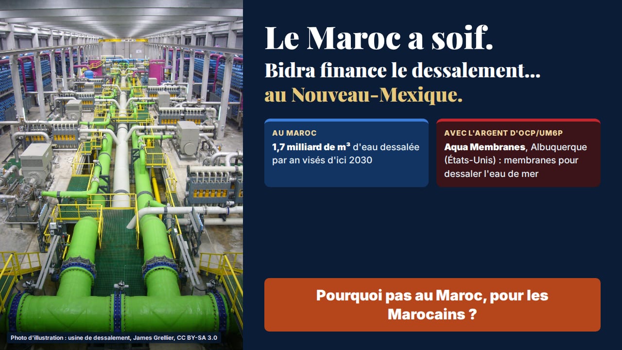 Enquête OCP/UM6P, volet 4 : 250 millions de dollars de capital-risque au Delaware, pendant que le Maroc manque d'eau
