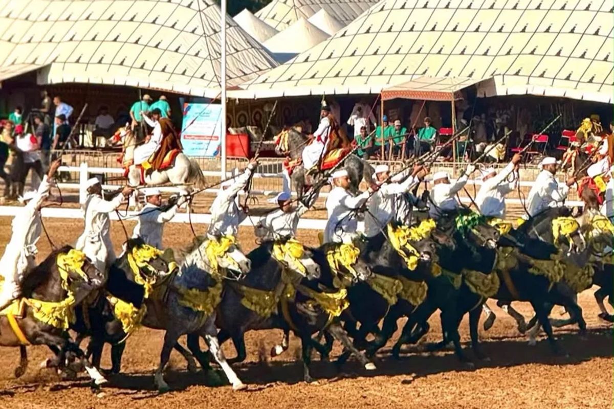 Salon du Cheval d'El Jadida : quand le numérique monte en selle